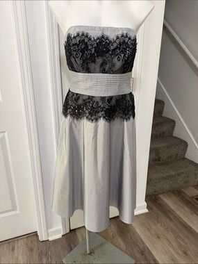 Tadashi Shoji 100 Silk Silver and Black Strapless Lace Midi Dress .Size 4